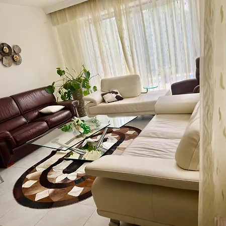 Proche Marche De Noel De Strasbourg *